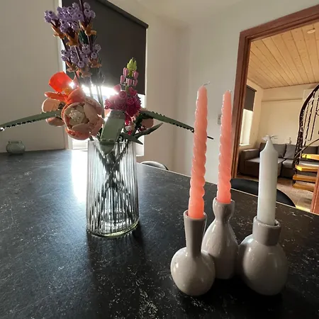 Luxury Curchi 1 Lägenhet Billund