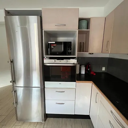 Apartment Luxury Curchi 1 *