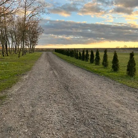 Luxury Curchi 1 公寓 比隆