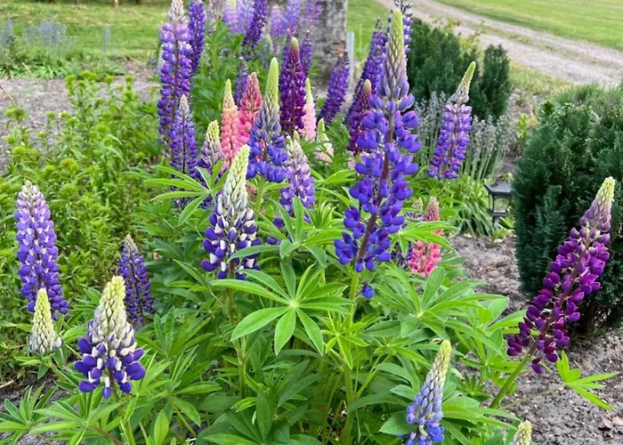 Apartment Luxury Curchi 1 Billund