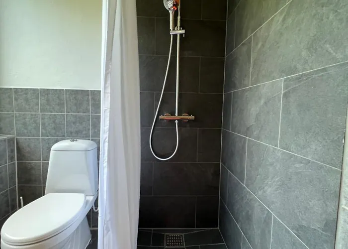 Apartment Luxury Curchi 1 *